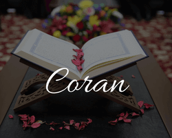Coran-Offre simple